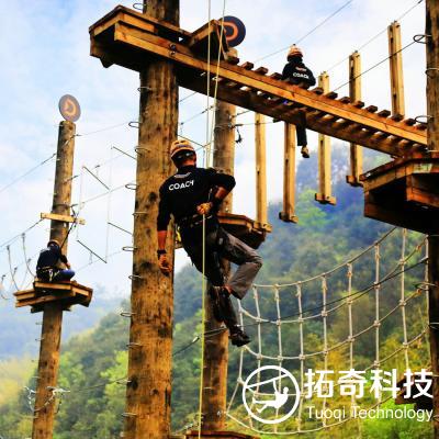 高空立柱網陣  繩網樂園