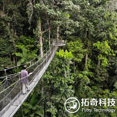 樹頂吊橋  樹頂步道