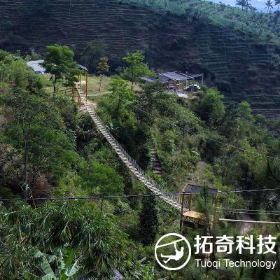 網紅橋 挑戰橋