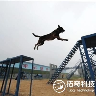 搜救犬障礙  警犬障礙